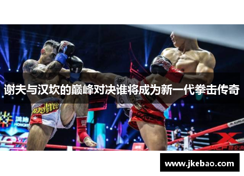 谢夫与汉坎的巅峰对决谁将成为新一代拳击传奇